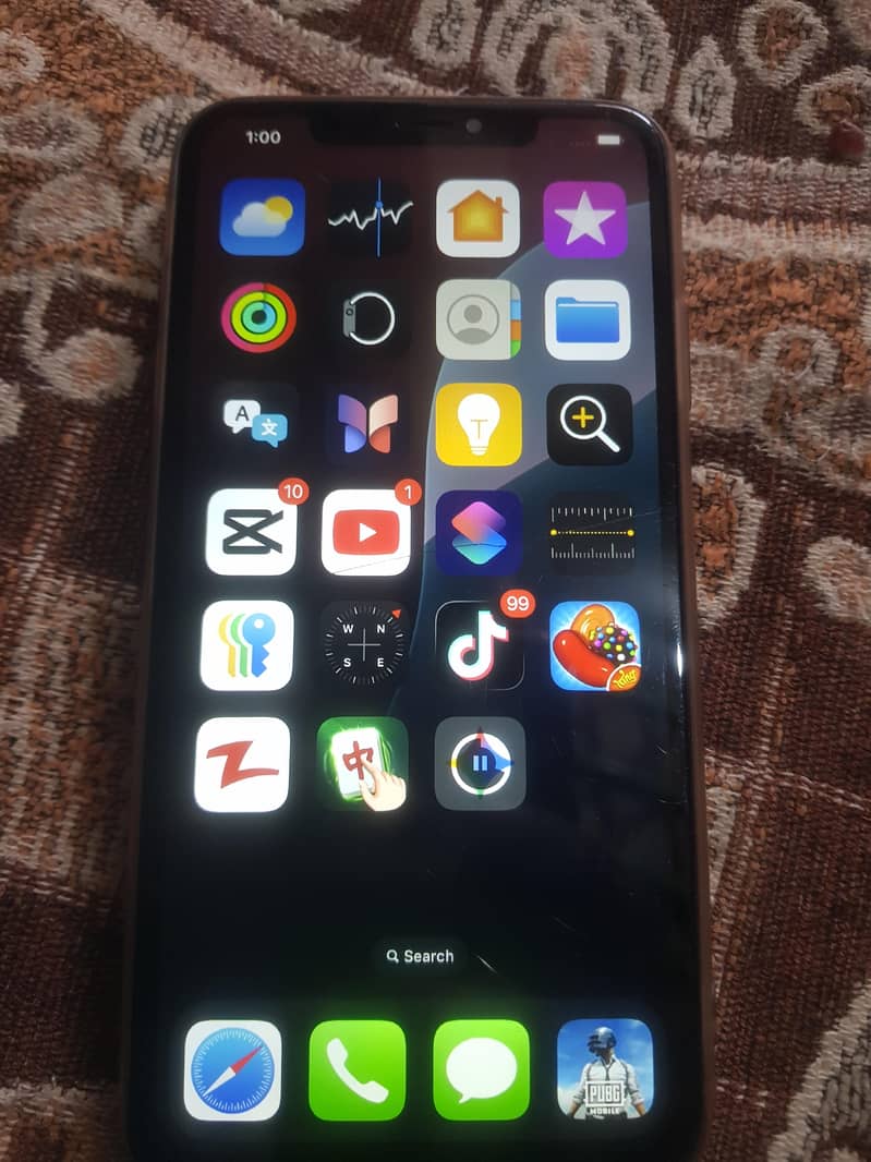 Apple iPhone XS Max 6