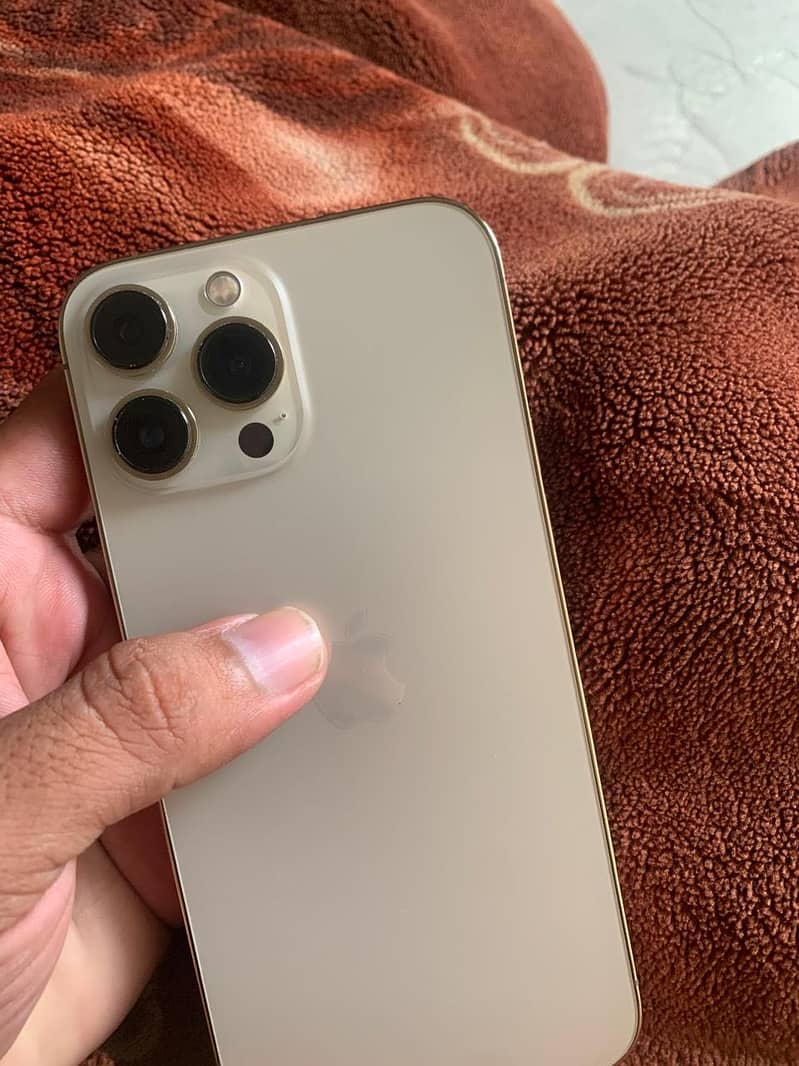 Apple iPhone 13 Pro Max 0