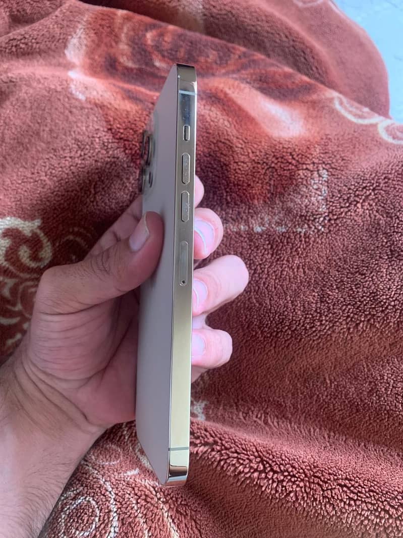 Apple iPhone 13 Pro Max 2