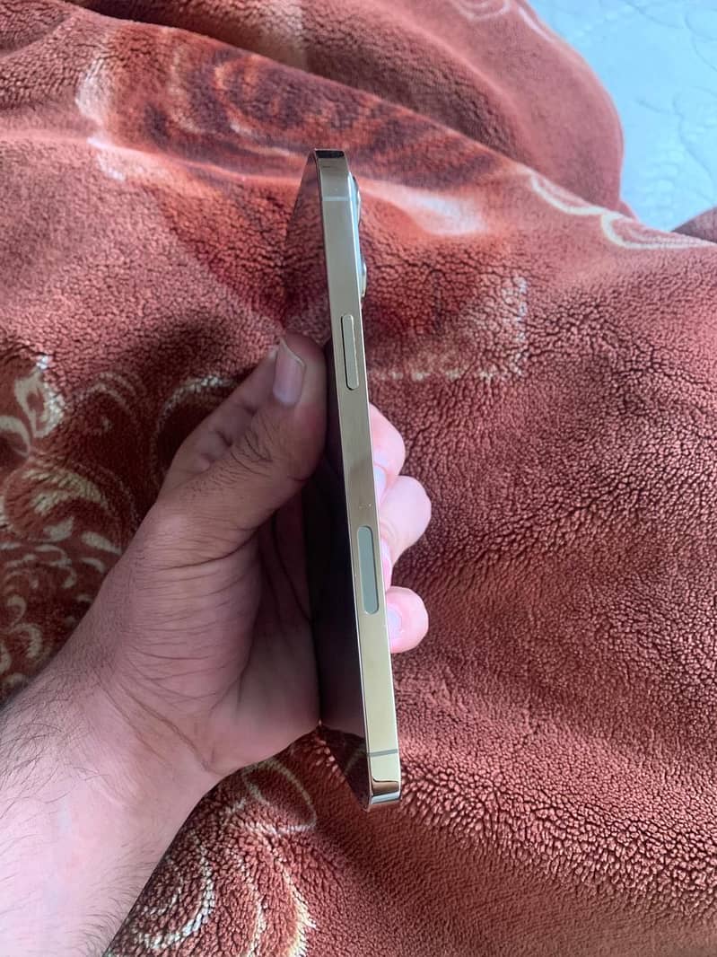 Apple iPhone 13 Pro Max 3
