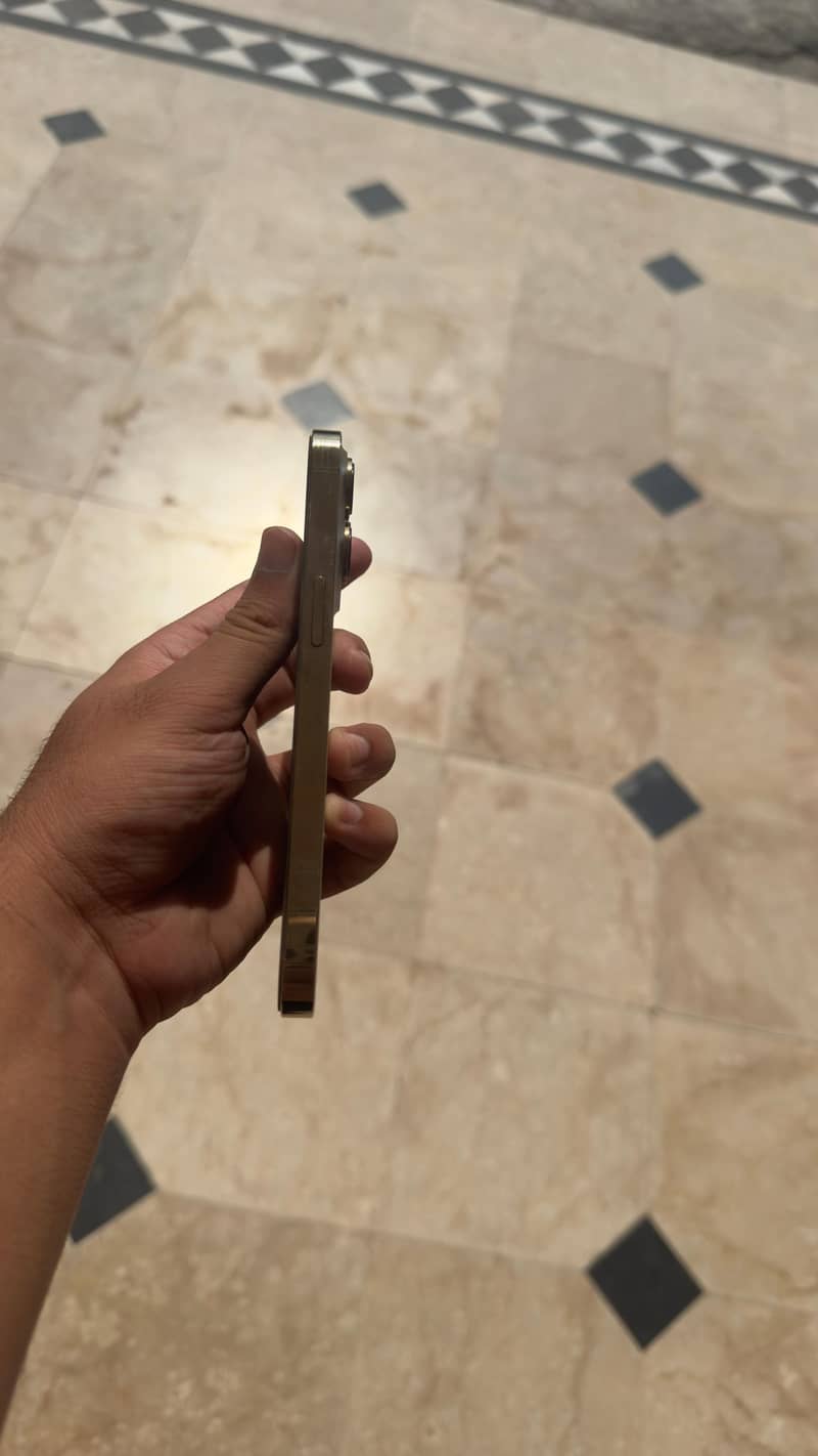 Apple iPhone 13 Pro 2