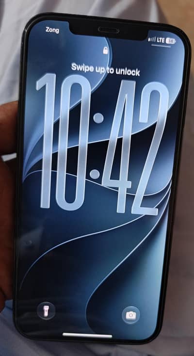 Apple iPhone 12 Pro Max