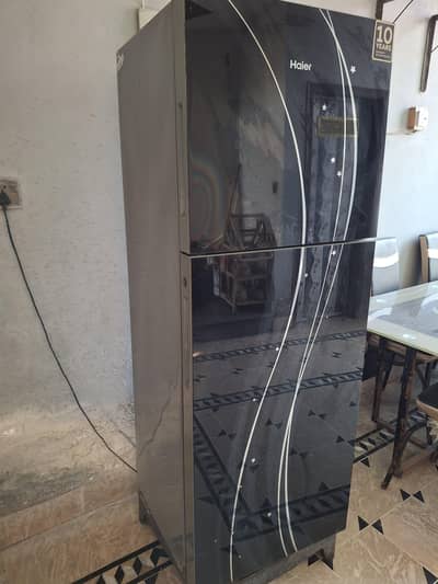 hair fridge avbl