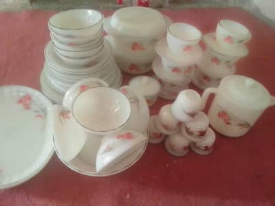 dener set 59 peaces new no use