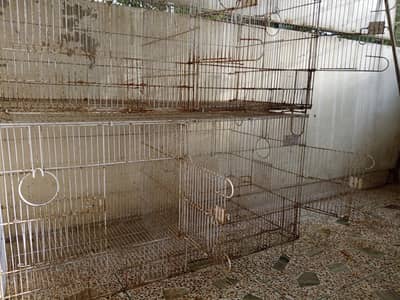 Folding Master Bird cage 36 x 18 inch