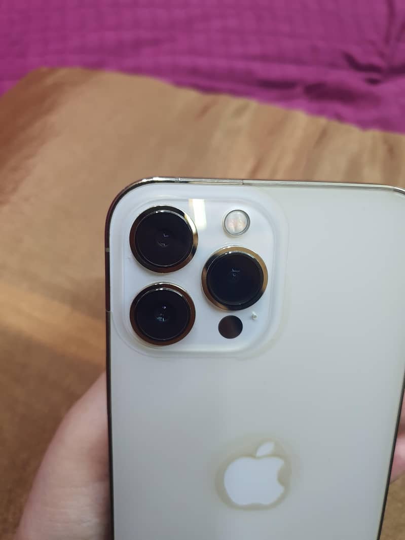 Apple iPhone 13 Pro Max 0