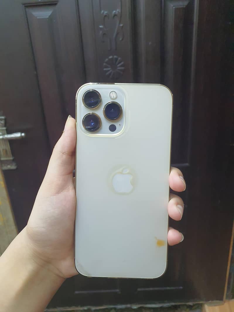 Apple iPhone 13 Pro Max 1