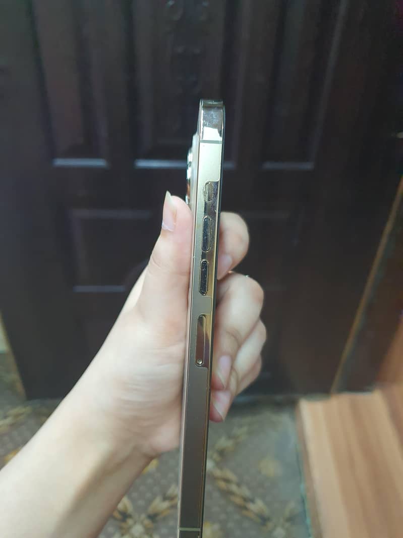 Apple iPhone 13 Pro Max 2