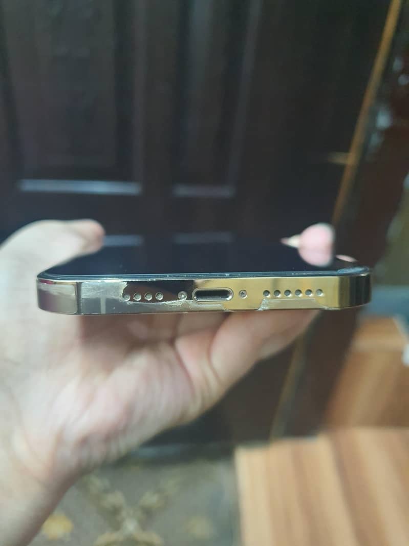 Apple iPhone 13 Pro Max 3