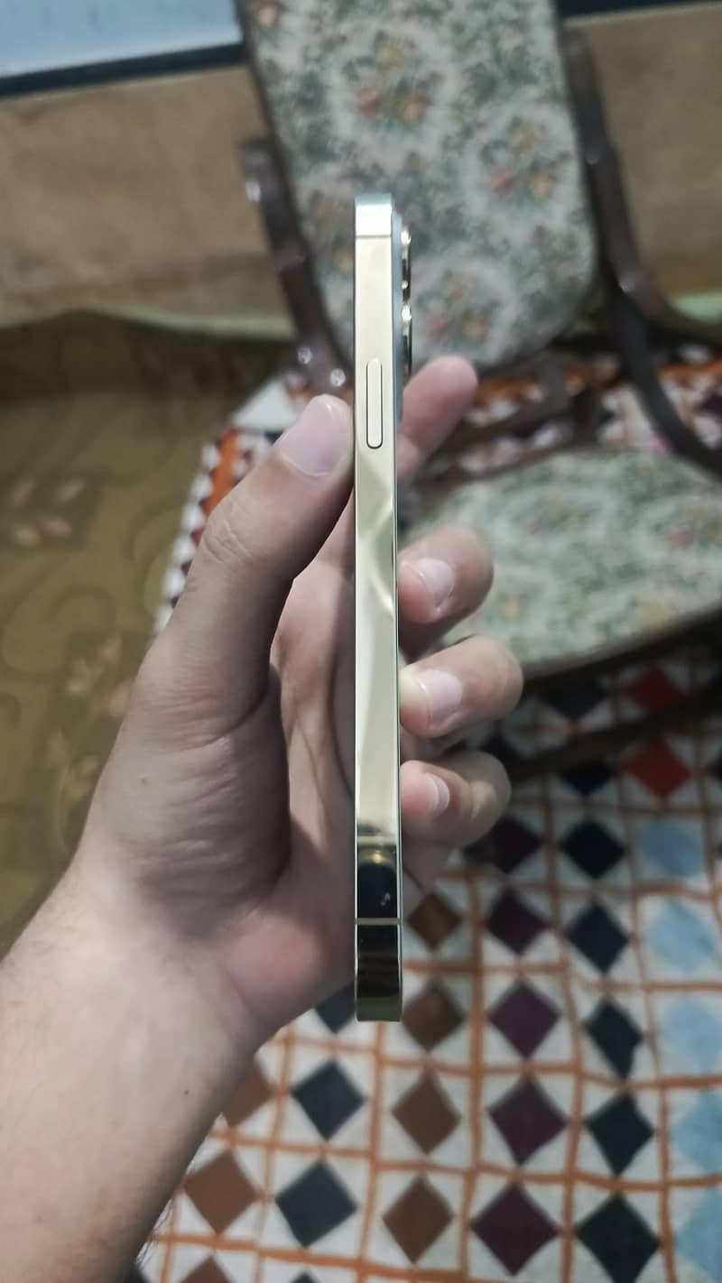 Apple iPhone 13 Pro Max 1
