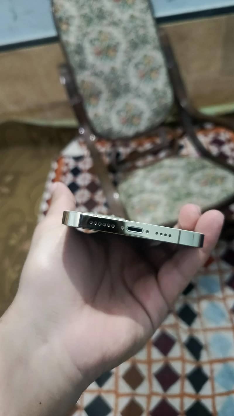 Apple iPhone 13 Pro Max 2