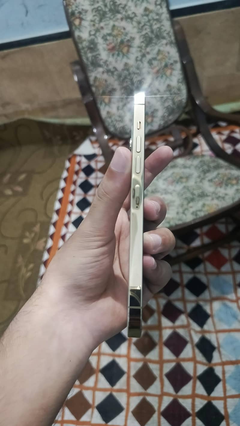 Apple iPhone 13 Pro Max 3