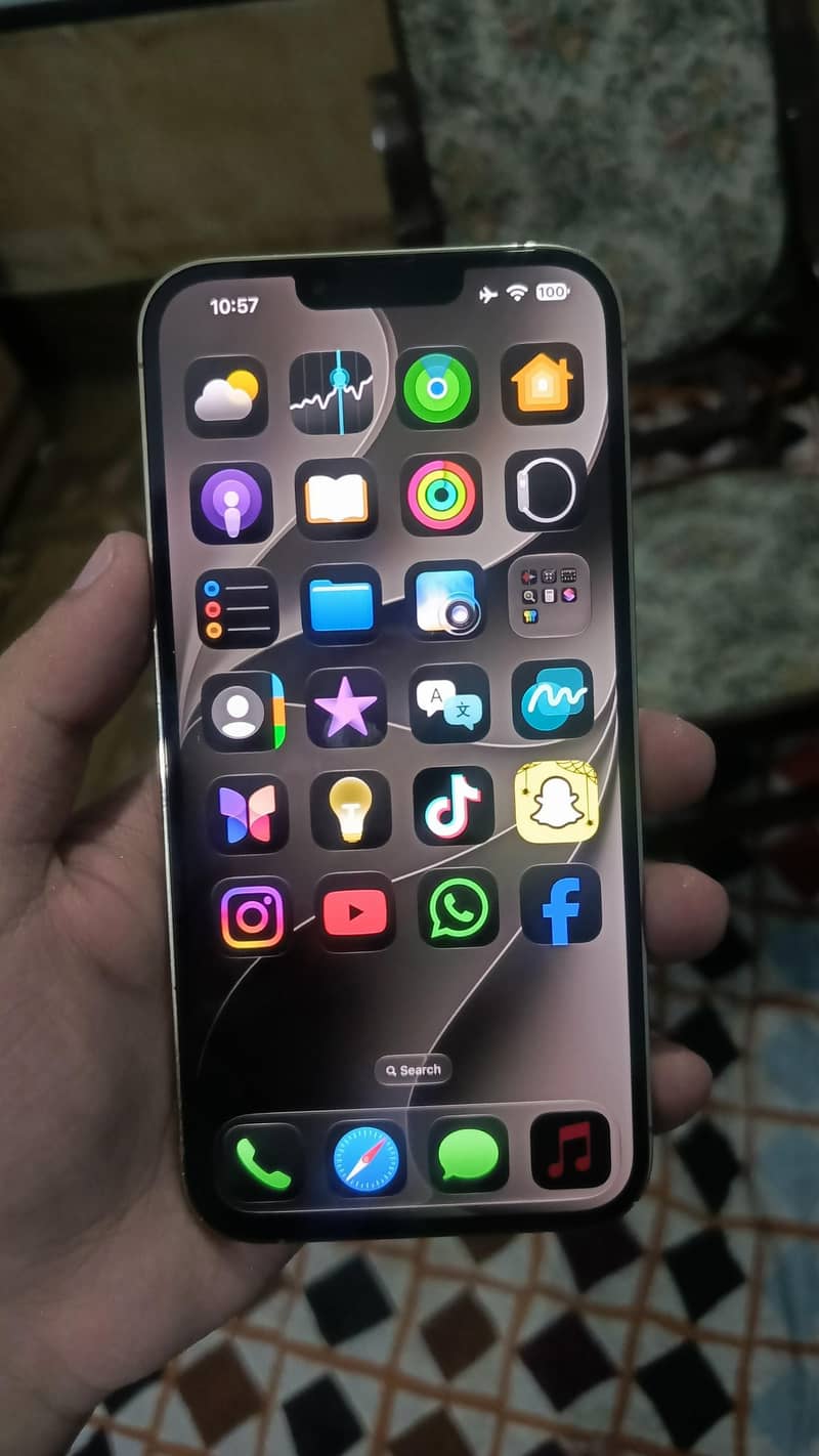 Apple iPhone 13 Pro Max 6