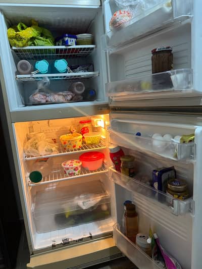 Pel fridge for sale