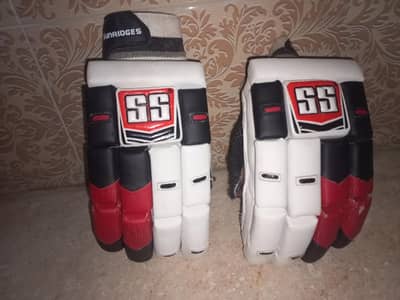 cricket glove's and helmet