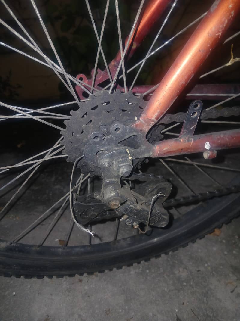 original chichgo cycle 2