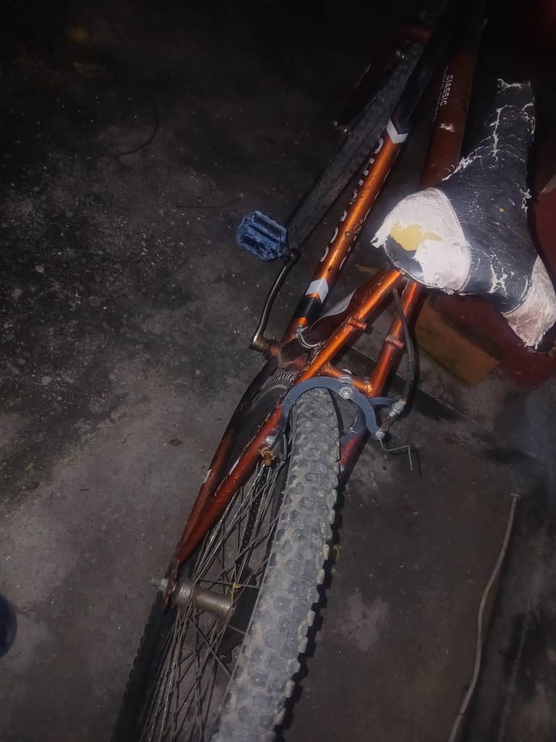 original chichgo cycle 4