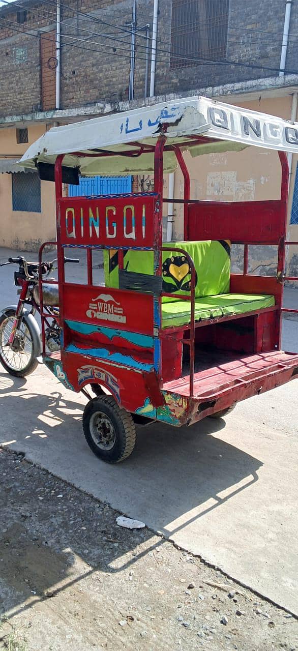 QiNGQi RiCKSHAWS 1