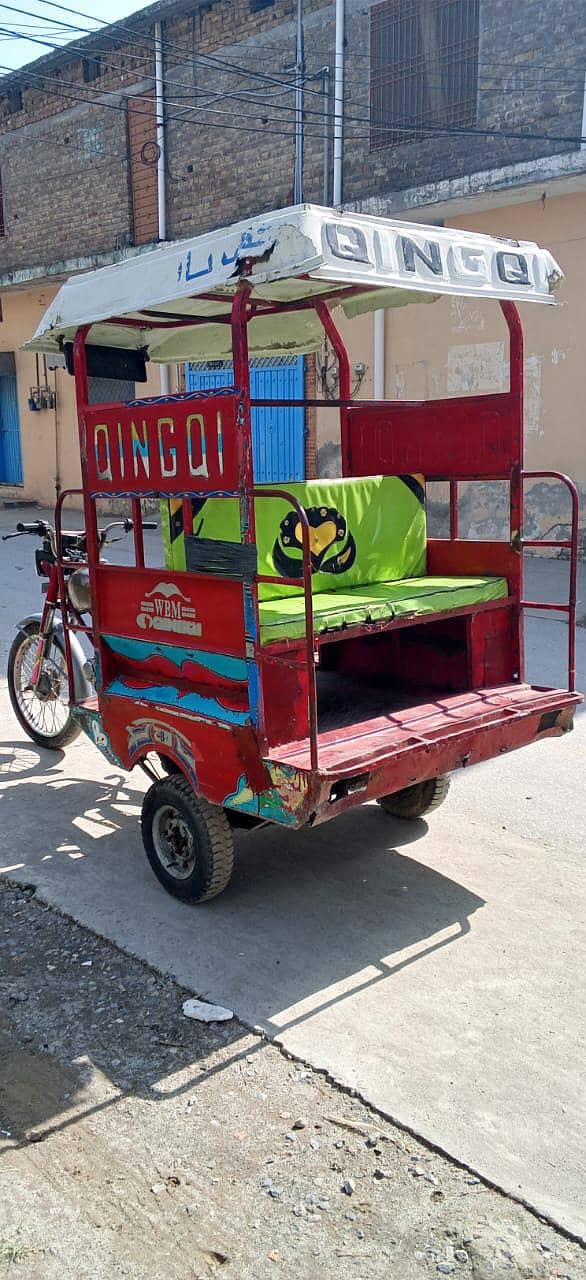 QiNGQi RiCKSHAWS 5
