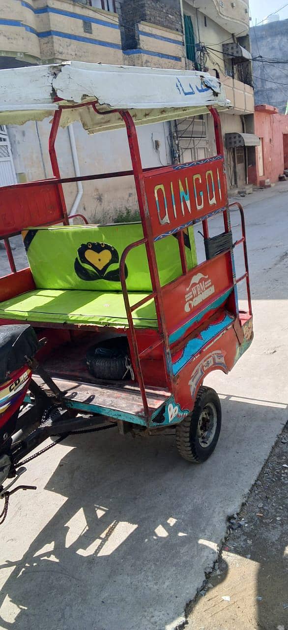 QiNGQi RiCKSHAWS 6