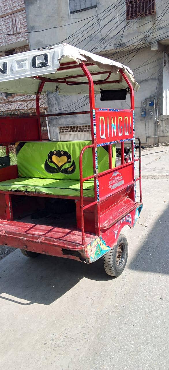 QiNGQi RiCKSHAWS 7