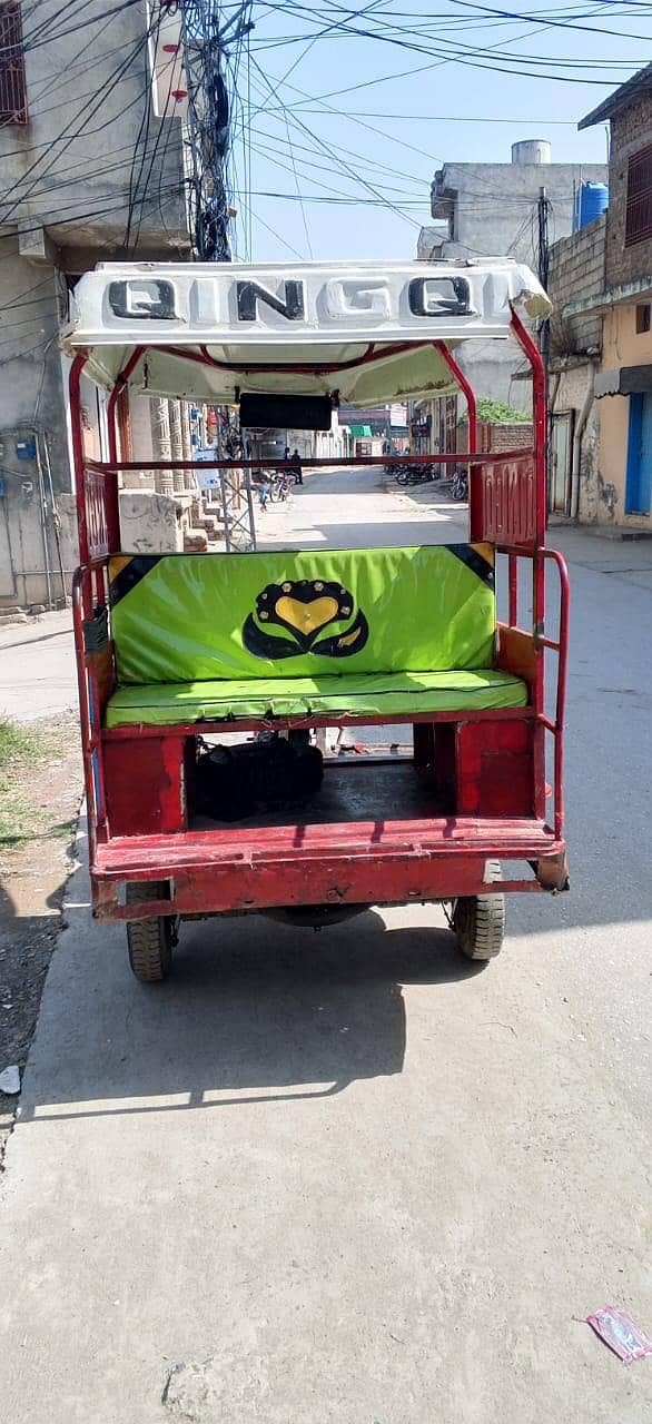QiNGQi RiCKSHAWS 8