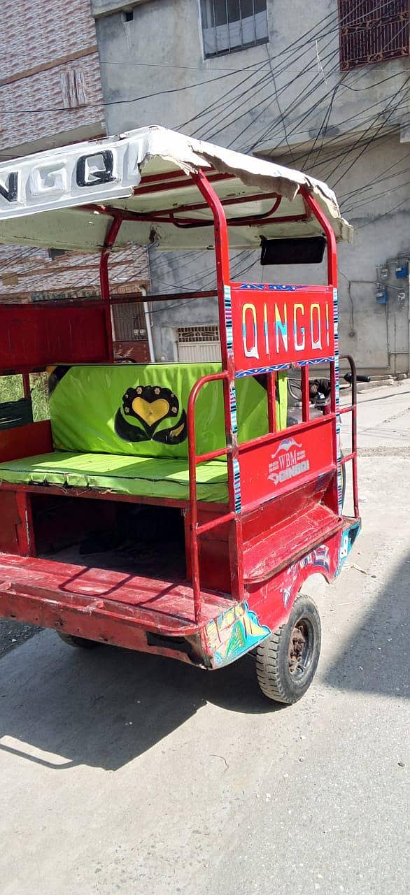QiNGQi RiCKSHAWS 10