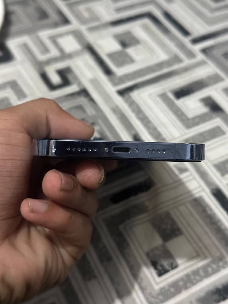 Apple iPhone 13 Pro Max 1