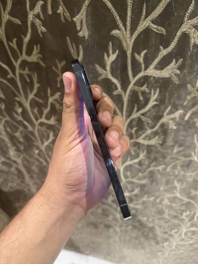 Apple iPhone 12 Pro Max physical dual sim