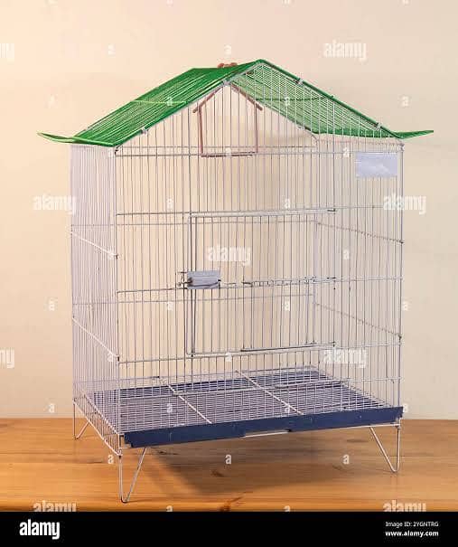 Bird cage 0