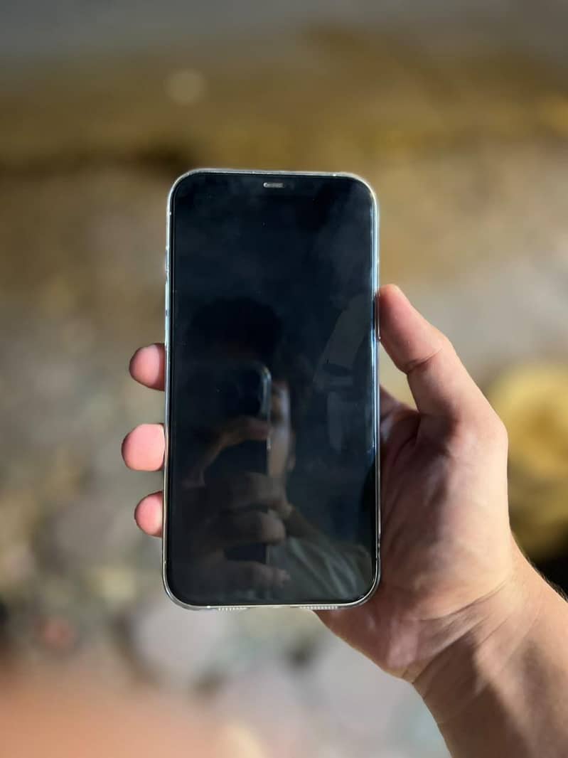 Apple iPhone 12 Pro Max 1