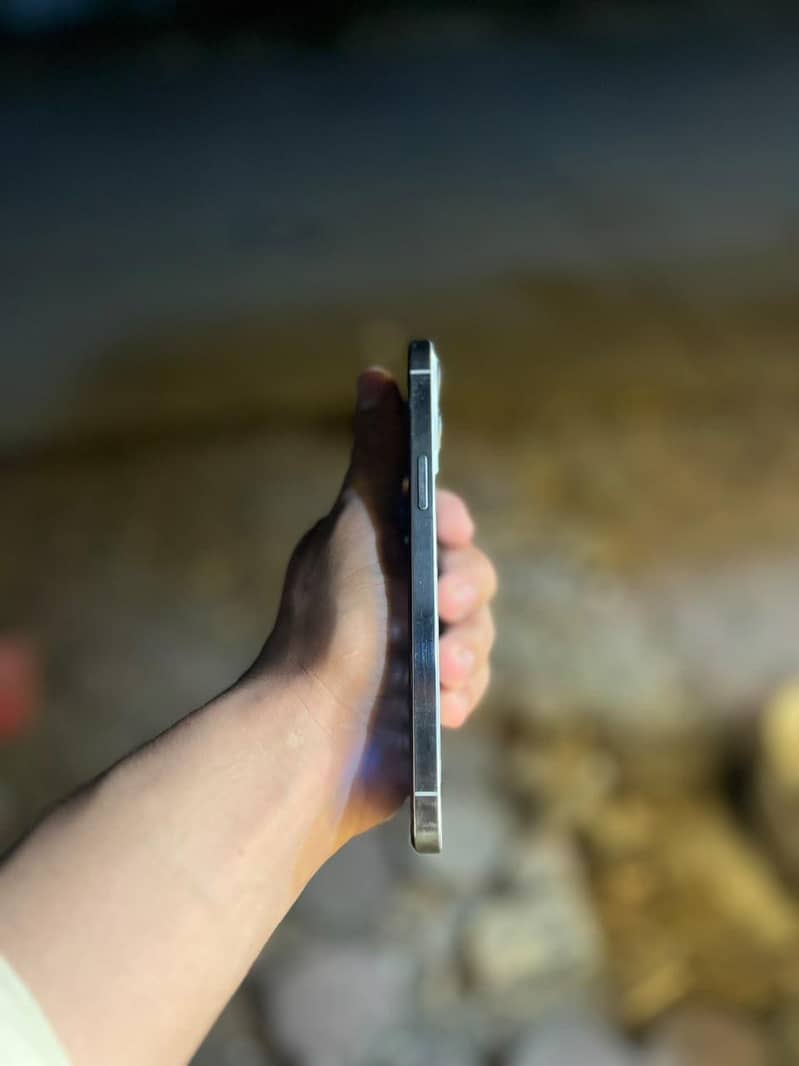 Apple iPhone 12 Pro Max 2