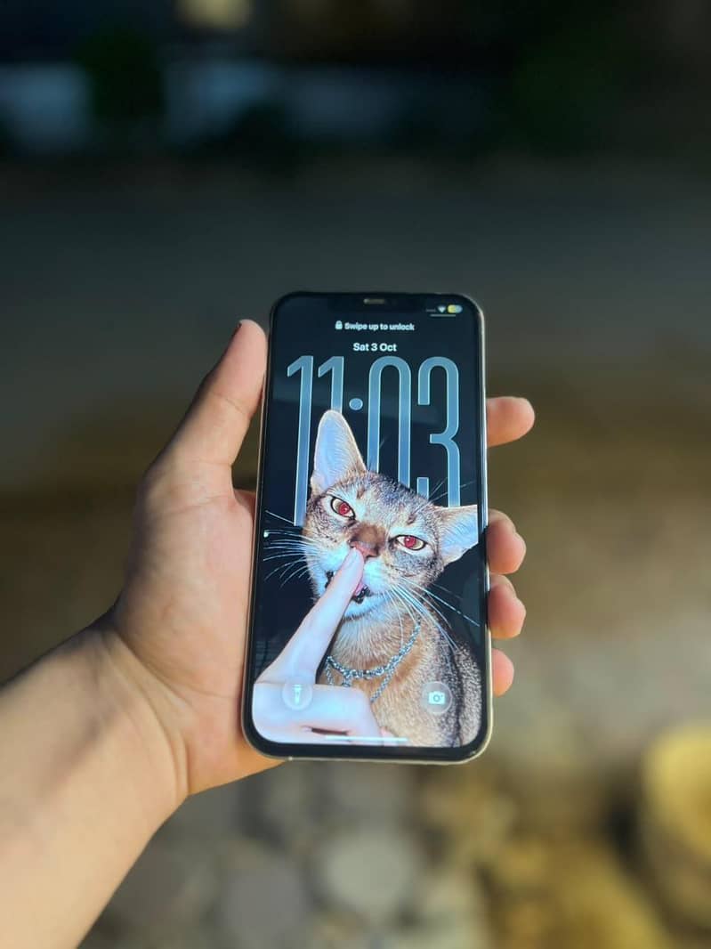 Apple iPhone 12 Pro Max 6