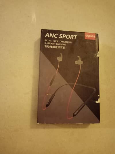 Dyplay earphones