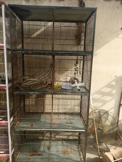 cage for sale