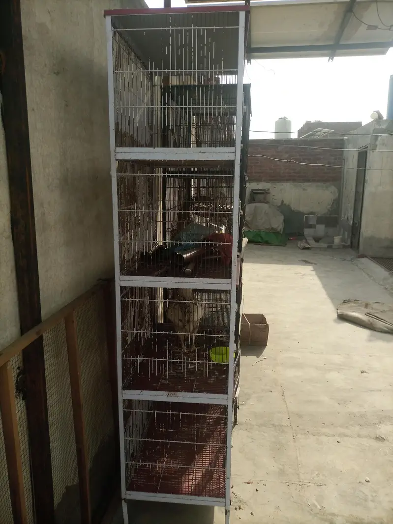 cage for sale — photo 2