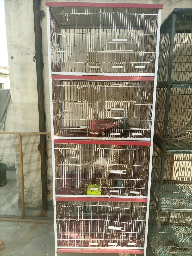 cage for sale — photo 4