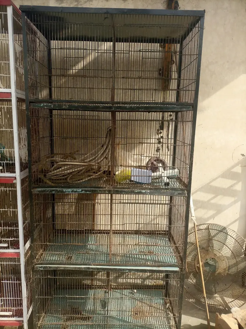 cage for sale — photo 5