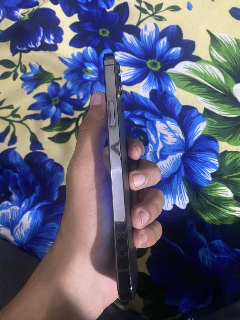 Apple iPhone 12 Pro Max 1