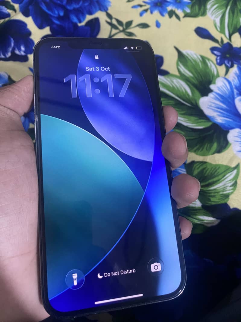 Apple iPhone 12 Pro Max 2