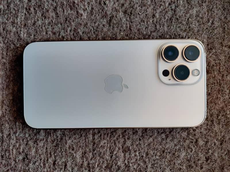 Apple iPhone 13 Pro Max 0