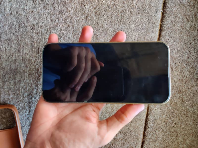 Apple iPhone 13 Pro Max 2