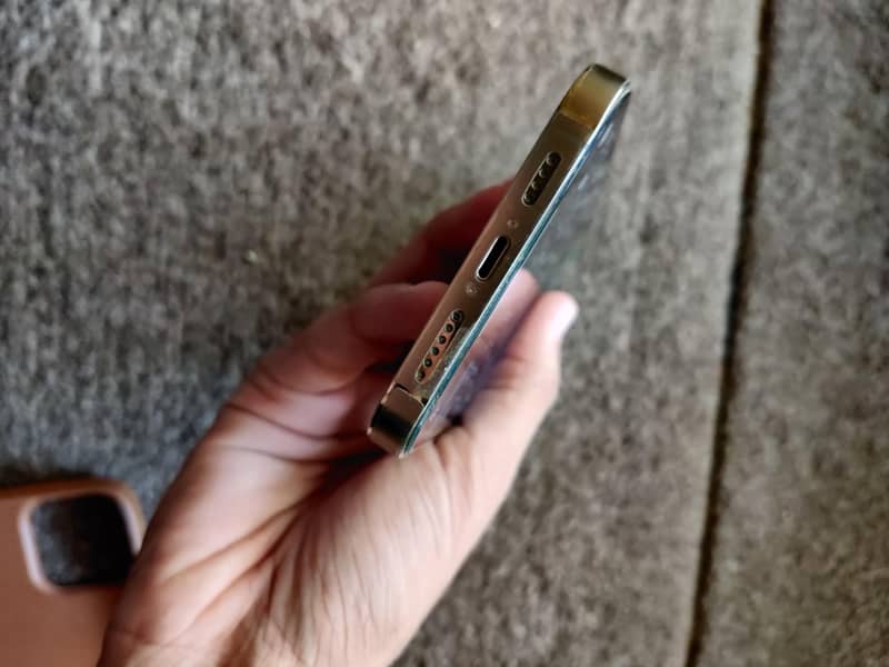 Apple iPhone 13 Pro Max 3