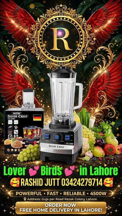 Silver crust blender 2 in 1
