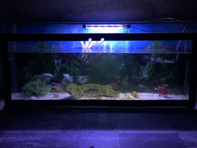4 Feet Aquraim Full Setup & Fishes For Sale In Lhr