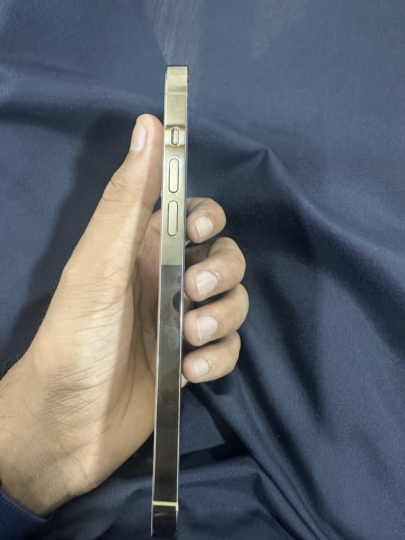 Apple iPhone 14 Pro Max 1
