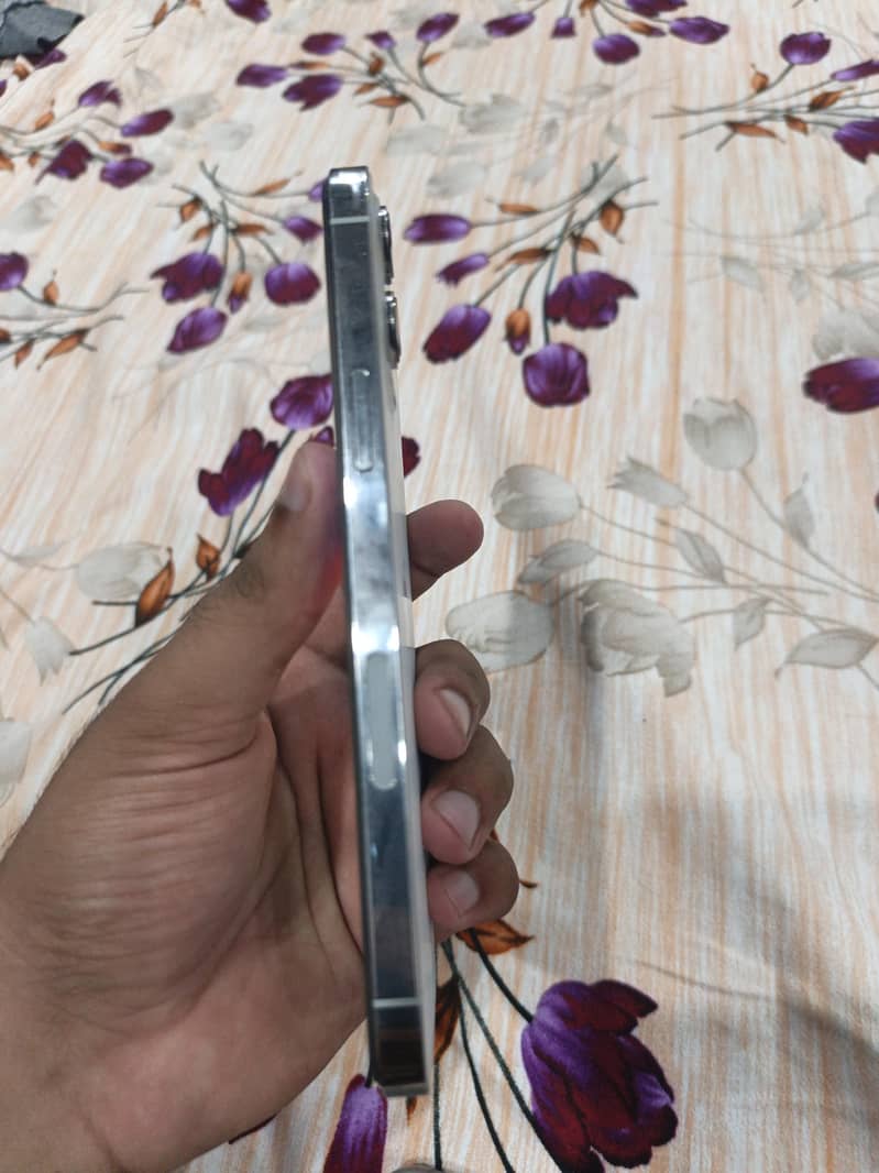 Apple iPhone 12 Pro Max 2