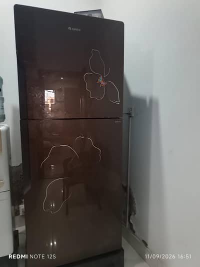 Gree Brand New Refrigenerater