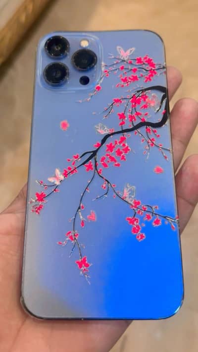 Apple iPhone 13 Pro Max