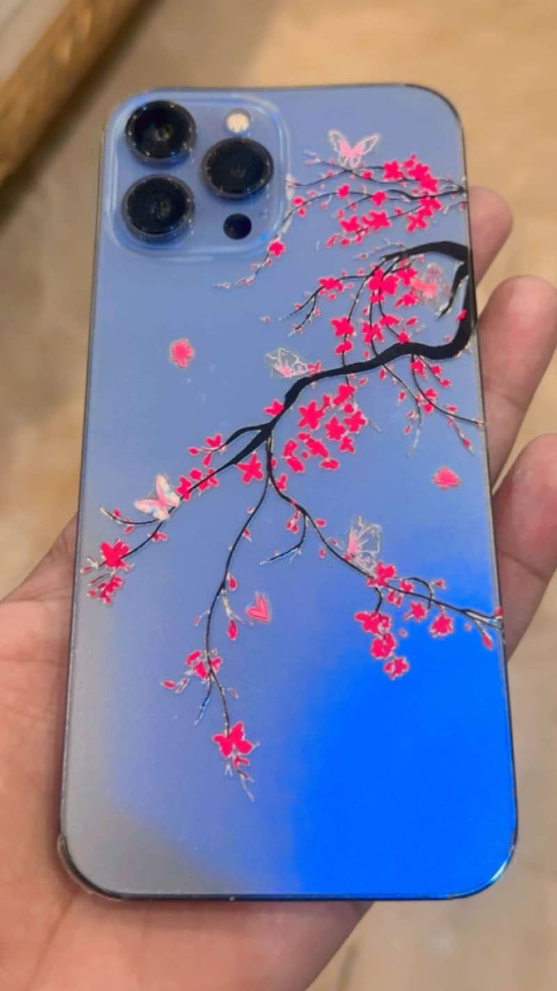 Apple iPhone 13 Pro Max 0